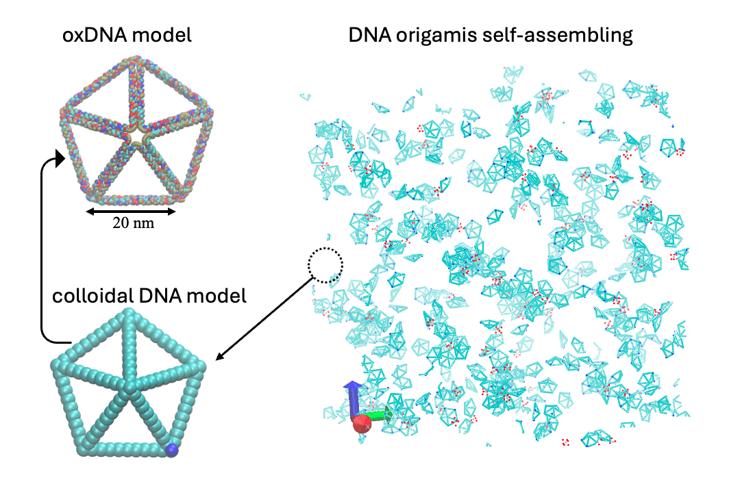 multiscale simulation